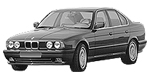 BMW E34 P0C8C Fault Code